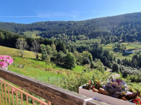 Charmantes chambres d'hôtes en montagne, animaux admis sur accord - FR-1-589-729 Ventron